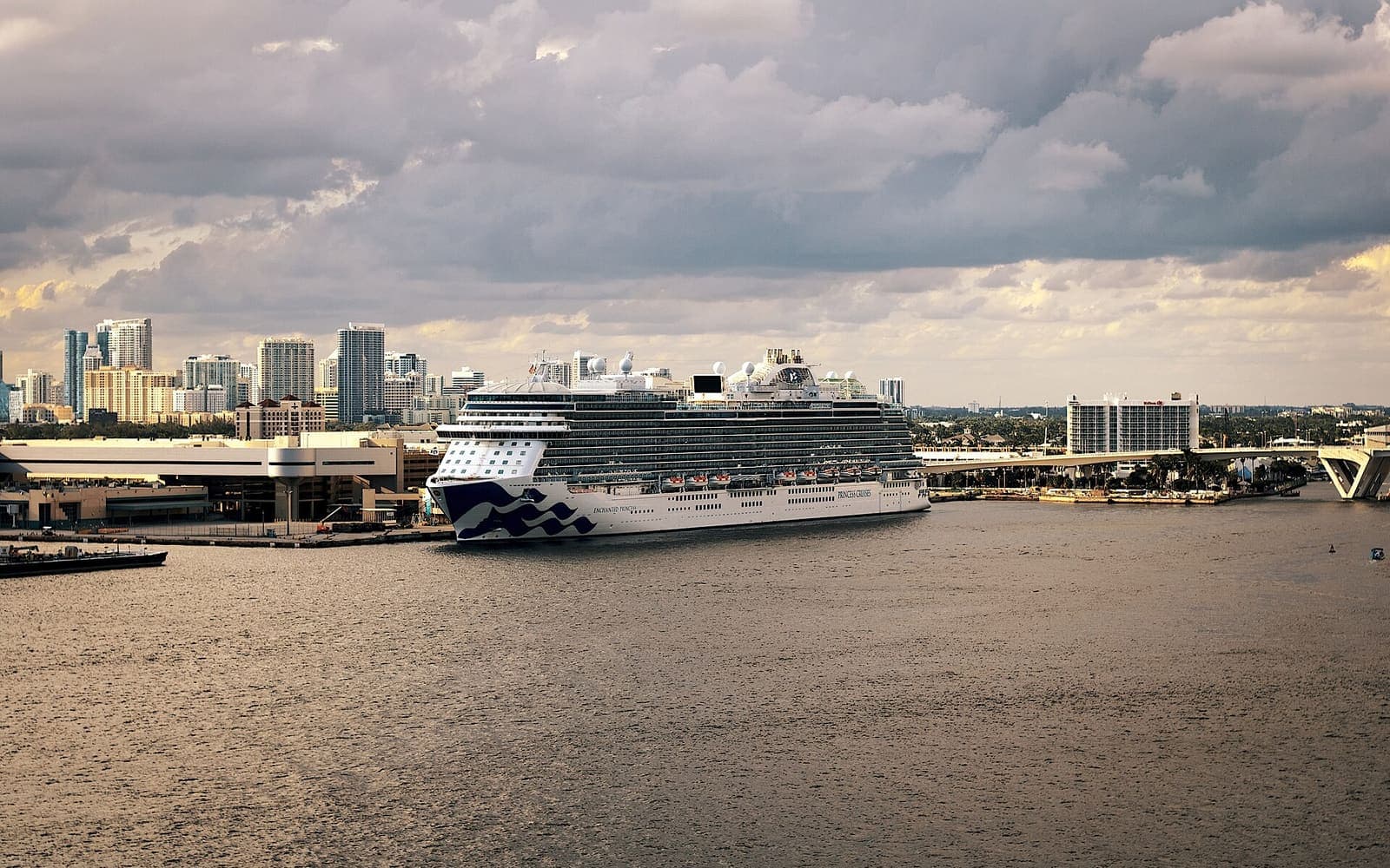 Enchanted Princess at sea