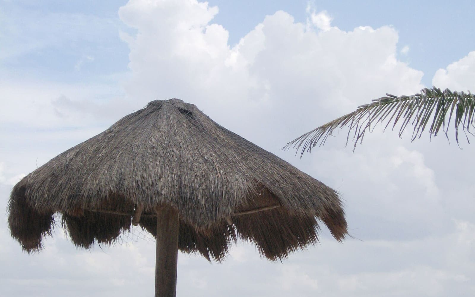 Playa del Carmen on the Riviera Maya