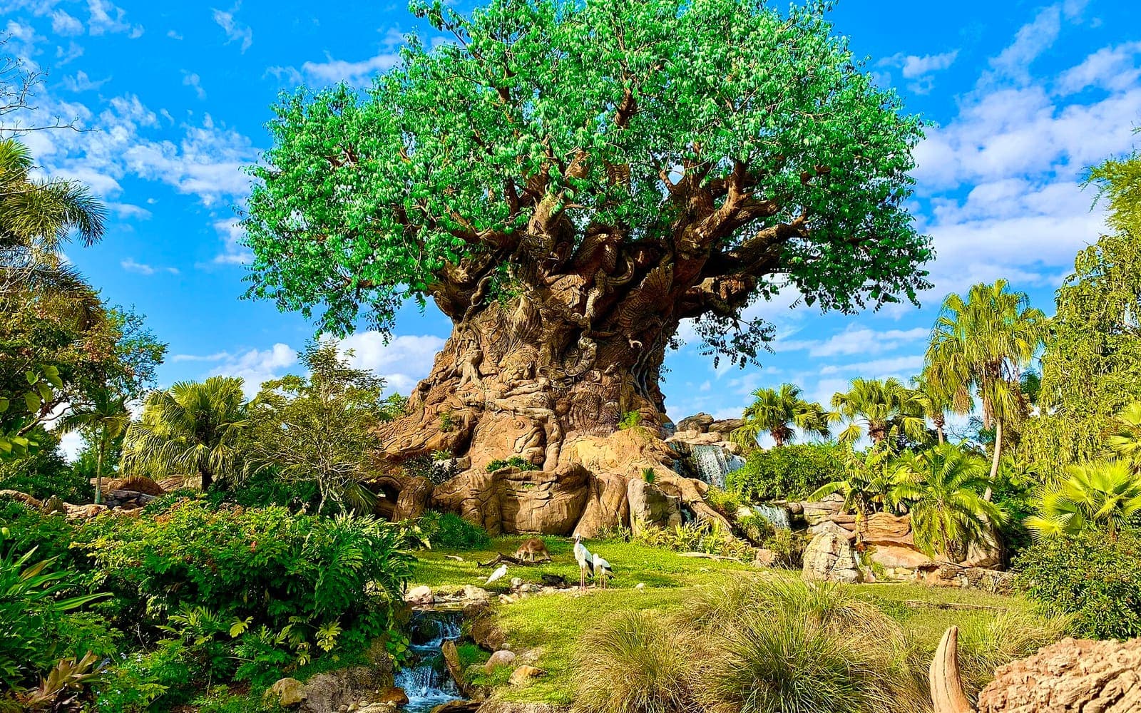 The Tree of Life at Disney's Animal Kingdom