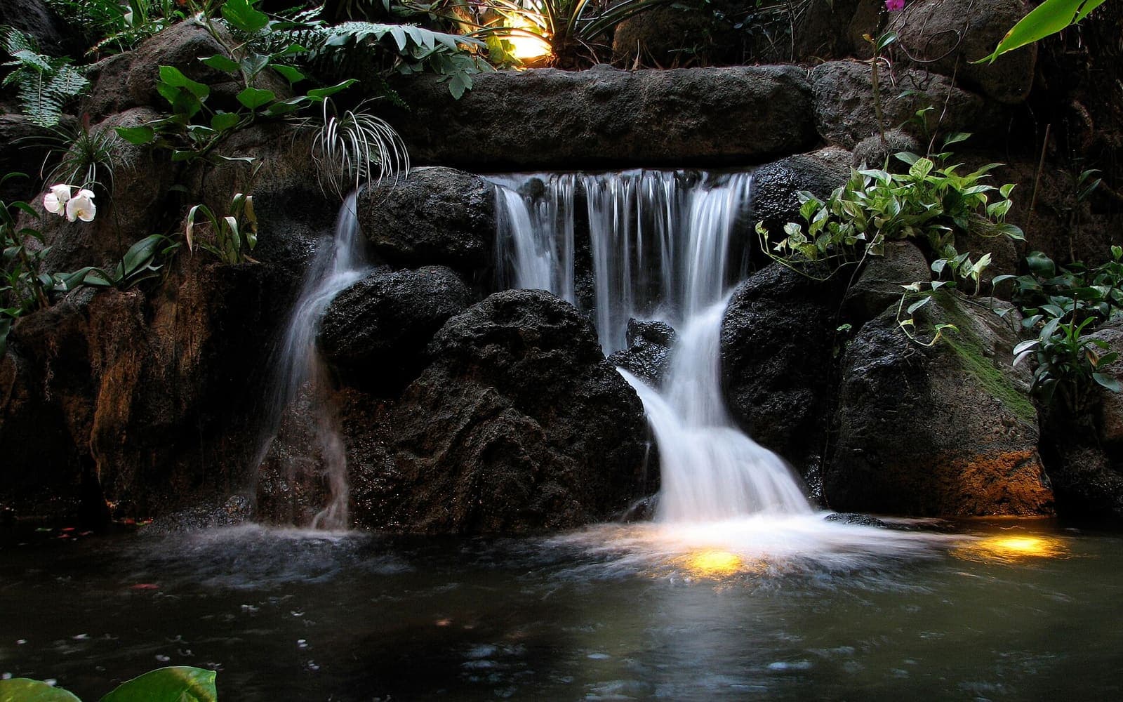 The waterfall at Disney’s Polynesian Village Resort