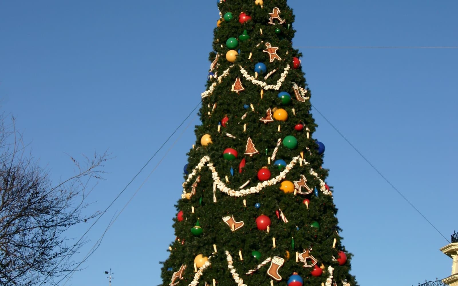 Holiday season at Magic Kingdom