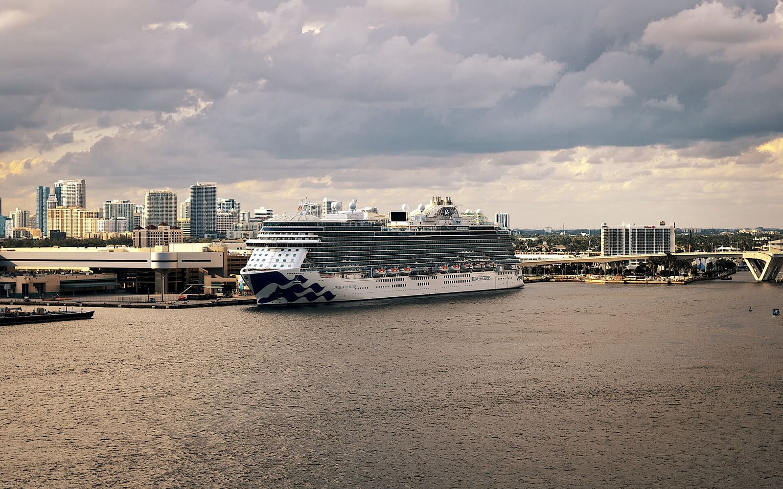 Enchanted Princess at sea